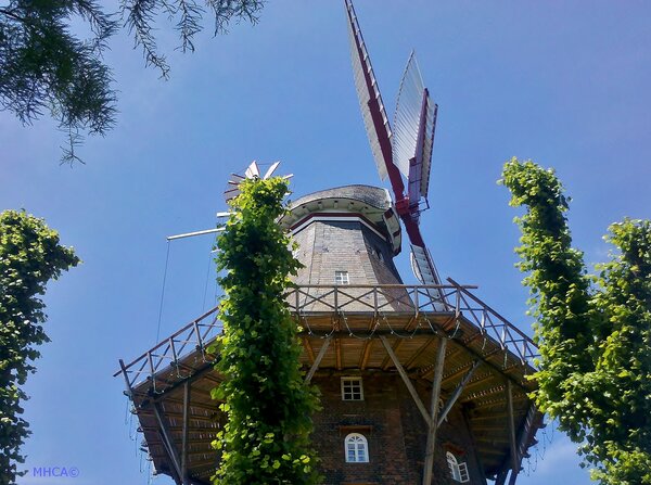 Windmühle.jpg