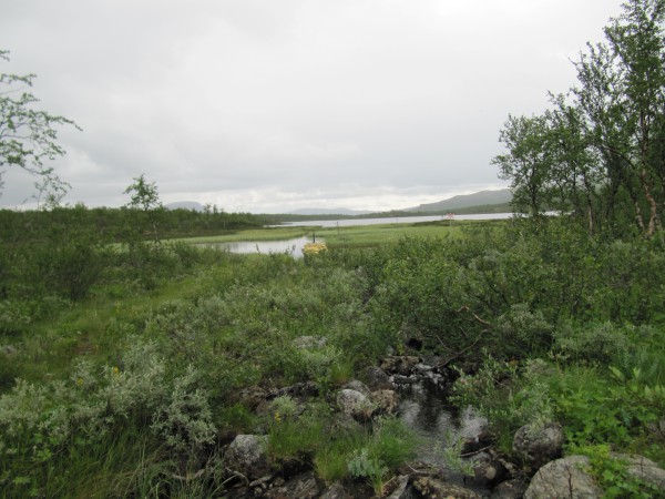 Lappland-Sommer 2014 794.JPG